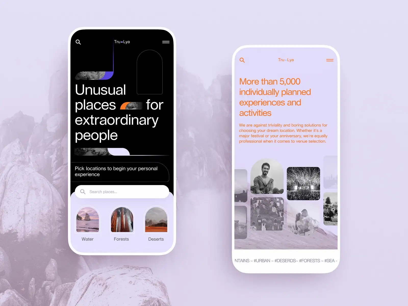 Web app interface with a personal account on laptop and smartphone screens