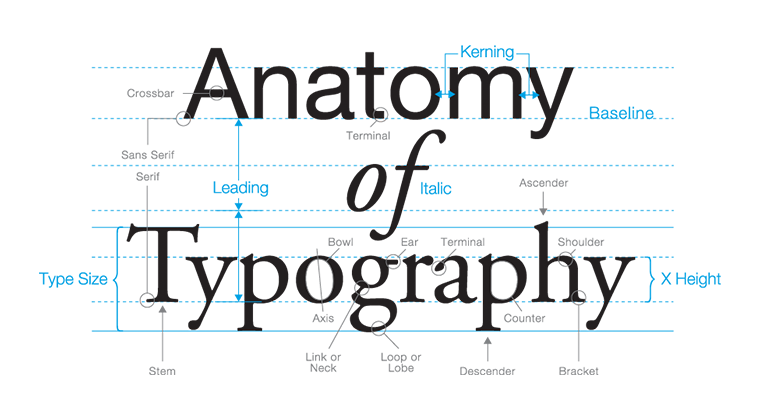 Typography of the site, how to correctly design the text of the content